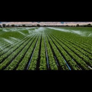 Meet your Posher, Marisol